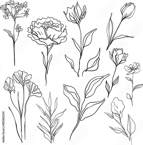 Obraz flower line drawing