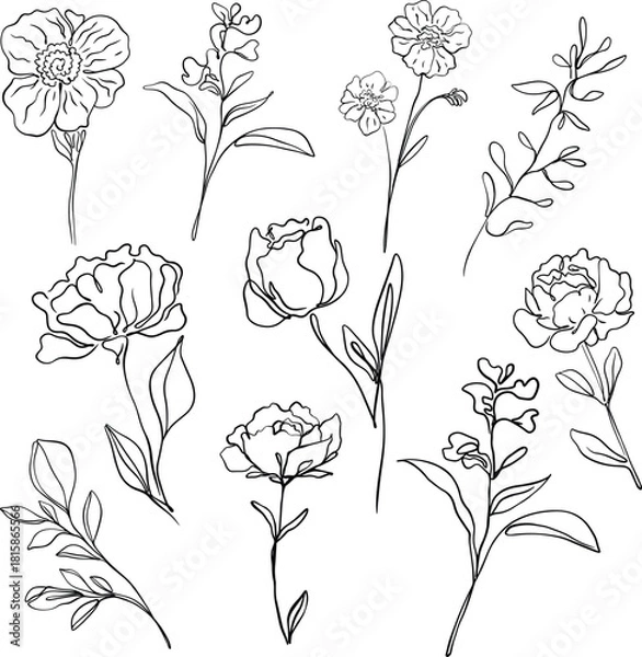Obraz flower line drawing