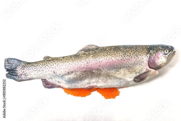 Obraz Salmon with salmon roes (red caviar) on a white background