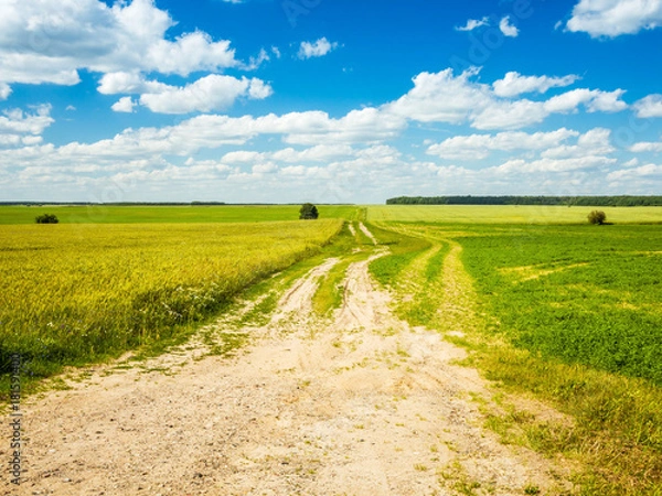 Obraz Dirt Road Through Fields In Summer
