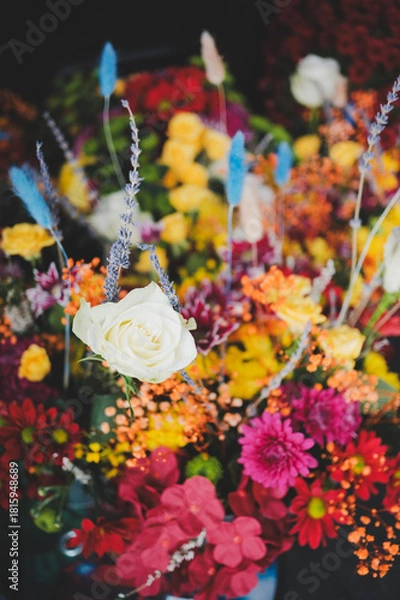 Obraz flowers in the garden