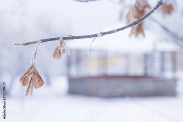 Obraz Autumn meets winter