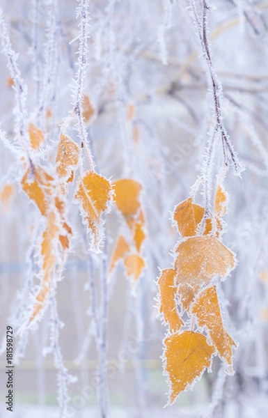 Obraz Autumn meets winter