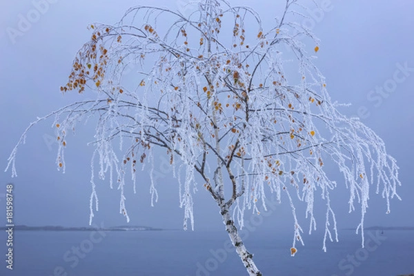 Obraz Autumn meets winter