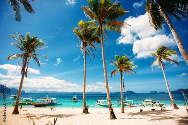 Fototapeta Tropical beach with palm trees, pilippine boats, blue sky, turquoise water and white sand. Paradise. Philippines, Palawan, El Nido. Wide angle, horizontal