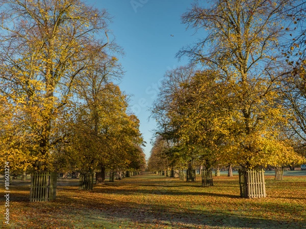 Obraz English Autumn colour