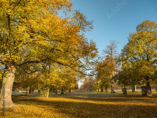 Obraz English Autumn colour