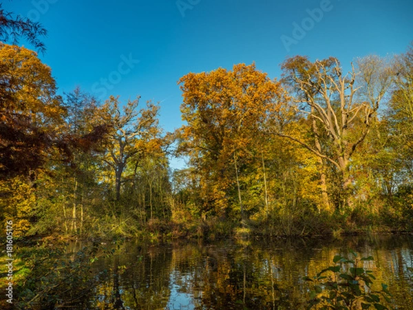 Obraz Autumn glory reflected in water