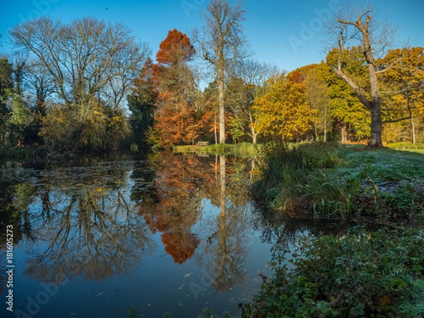 Obraz Autumn glory reflected in water