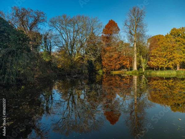 Obraz Autumn glory reflected in water