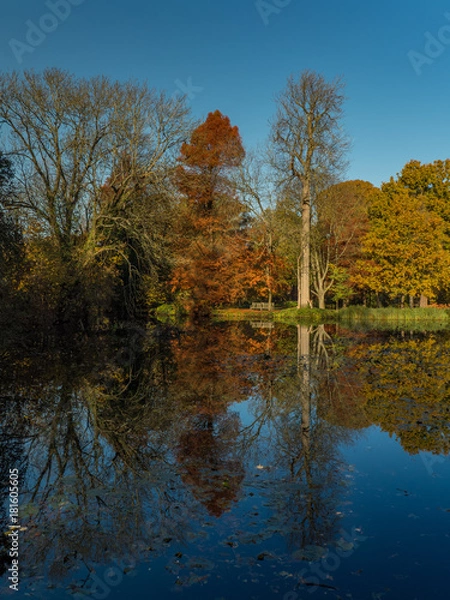 Obraz Autumn glory reflected in water