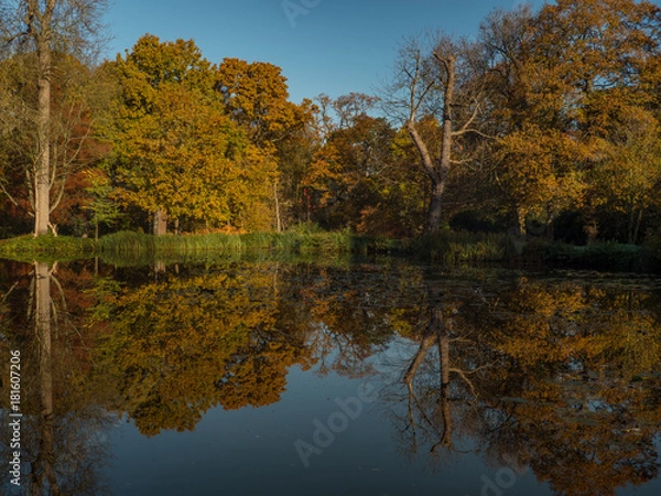 Obraz Autumn glory reflected in water