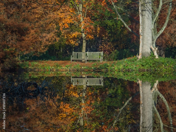 Obraz Autumn glory reflected in water