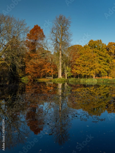 Obraz Autumn glory reflected in water