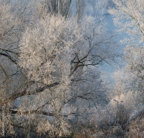 Obraz Hoarfrost at Dusk