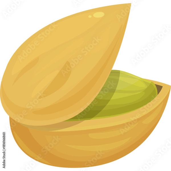 Obraz Open Pistachio Nut With Green Seed Inside Isolated On White Background Simple Vector Illustration