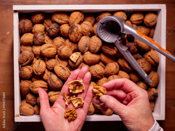 Fototapeta Freshly cracked walnuts over a box of nuts