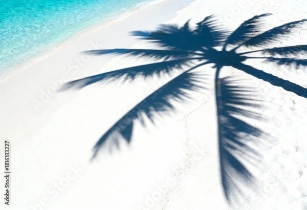Fototapeta Shadow of coconut palm tree on white sand beach next to turquoise water, summer background