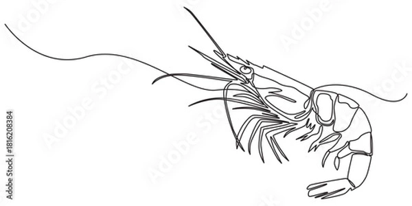 Obraz One continuous line drawing of fresh shrimp for seafood logo identity, Continuous one line drawing of shrimp. Isolated on white background vector illustration, Pro vector. One continuous line drawing 