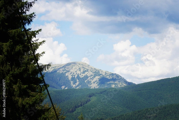Fototapeta View of the mountains of the Ukrainian Carpathians