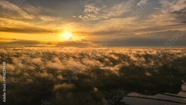 Fototapeta A high-altitude aerial photograph capturing a sunrise above a vast forest with golden morning mist drifting through the treetops