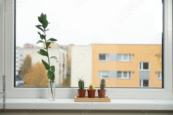 Obraz Minimal windowsill scene with a single green stem in glass and small cacti, evoking a fresh, airy home atmosphere.