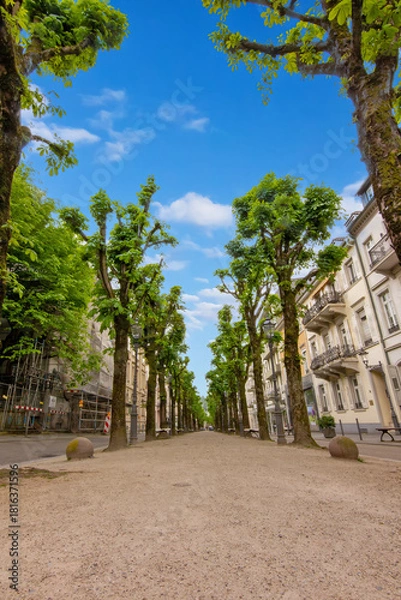 Fototapeta Lichtentaler Allee -Chestnut Alley in Baden-Baden, characterized by a long, deep path lined with rows of pollarded trees