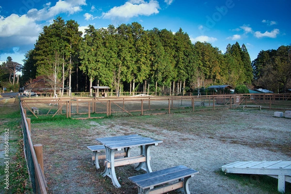 Obraz ワンちゃんたちに大人気の広々としたドッグラン