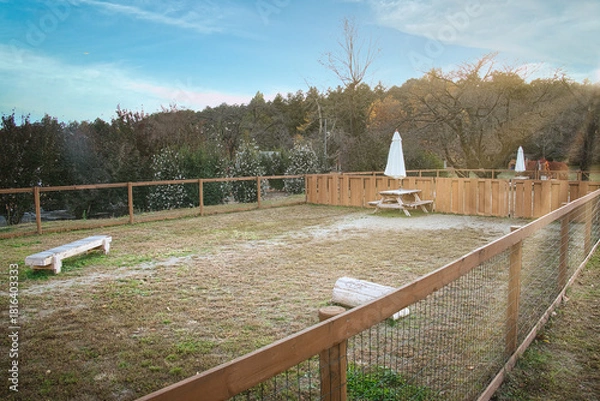 Obraz ワンちゃんたちに大人気の広々としたドッグラン