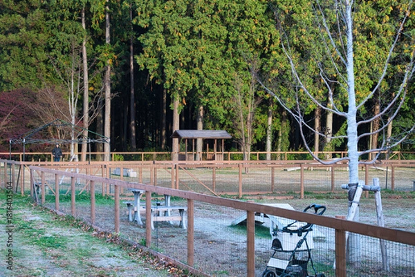 Obraz ワンちゃんたちに大人気の広々としたドッグラン