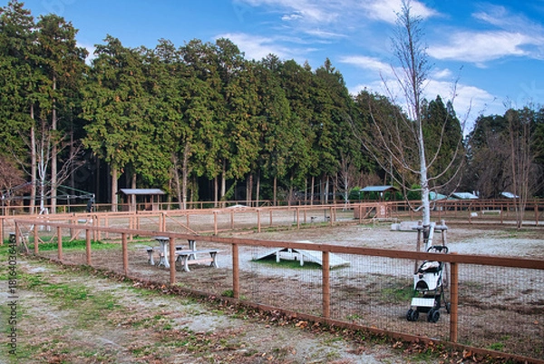 Obraz ワンちゃんたちに大人気の広々としたドッグラン