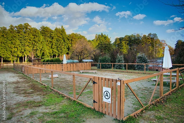 Obraz ワンちゃんたちに大人気の広々としたドッグラン