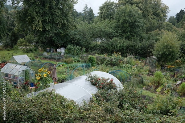 Obraz rural area allotment