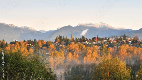 Fototapeta fall color at Deer Lake Park