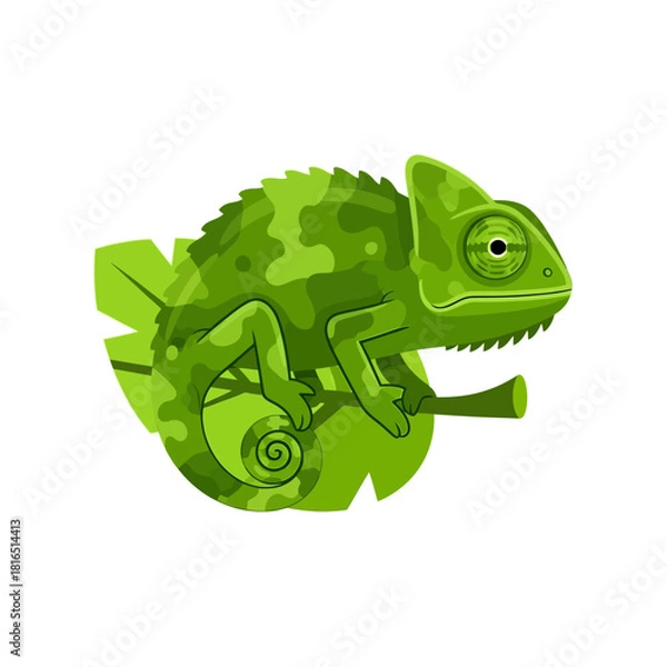 Fototapeta Green chameleon perched on a branch with camouflage.