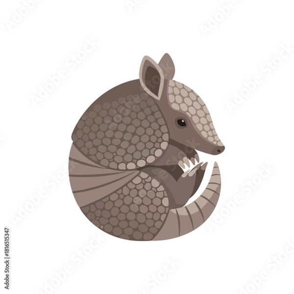 Fototapeta Armadillo curled up in a defensive ball position.