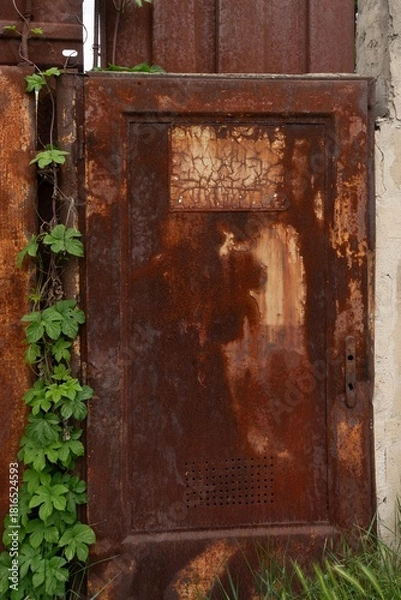 Obraz Old rusty door gate plate overgrown