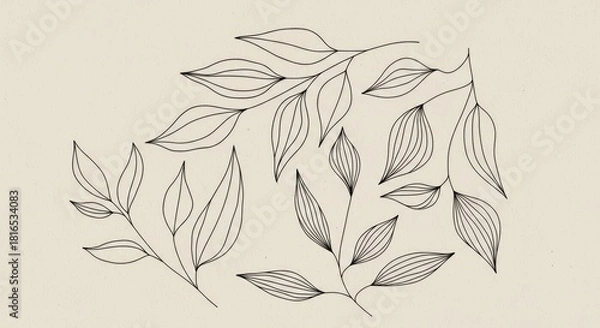 Fototapeta Botanical linework: Hand-drawn leaves in thin black strokes over a muted beige base. The airy, modern design blends nature and minimalism, adding warmth while keeping a refined look.