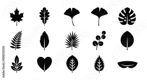 Fototapeta Collection of various simple black and white leaf illustrations in a grid pattern
