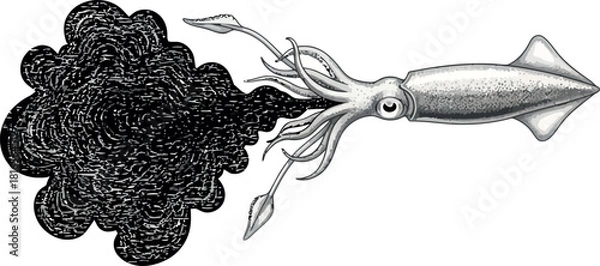 Fototapeta Squid illustration with ink cloud vintage style drawing of cephalopod squirting ink isolated on white background