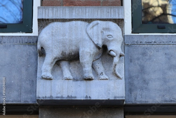 Fototapeta Sculpted Elephant Decoration on a Keizersgracht Canal Building Facade in Amsterdam, Netherlands