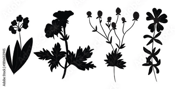 Obraz Hand Drawn Wildflowers