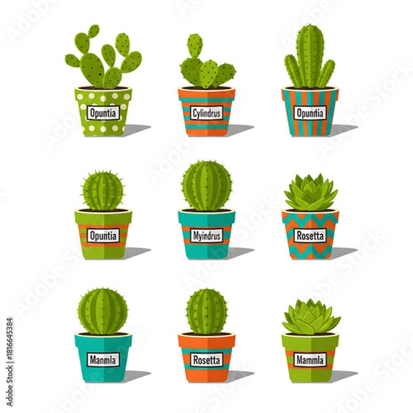 Fototapeta Collection of potted cacti and succulents in decorative planters, isolated on a white background, perfect for indoor decor and botanical illustrations