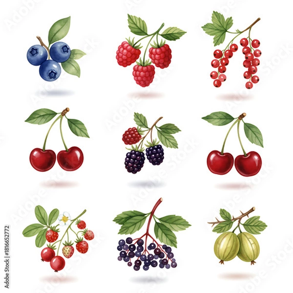 Fototapeta A beautifully hand-painted watercolor collection of various ripe summer berries, including cherry, raspberry, blueberry, and currant, isolated on a white background