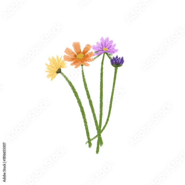Fototapeta A hand-drawn illustration of colorful cosmos flowers featuring yellow, orange, purple, and lavender blossoms with long green stems on a transparent background. Suitable for botanical designs, sticker