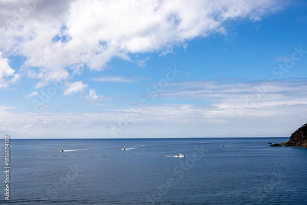 Obraz 穏やかな伊豆の海を快走する水上バイクと小型の観光船