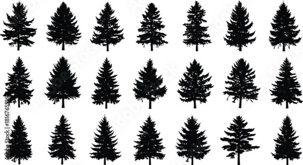 Fototapeta Conifer tree silhouette illustration set, varied shapes, black vector, forest design, evergreen species, botanical theme, nature artwork