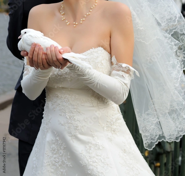 Obraz Wedding - Bride with pigeon