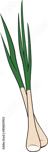 Obraz 김치 재료 일러스트레이션