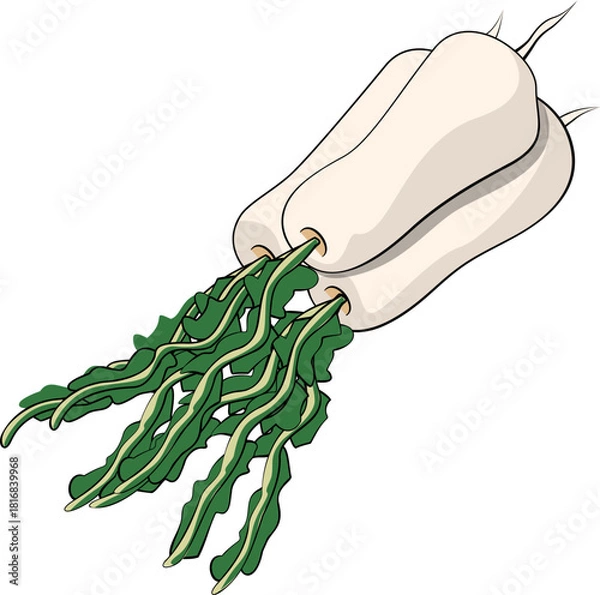 Obraz 김치 재료 일러스트레이션